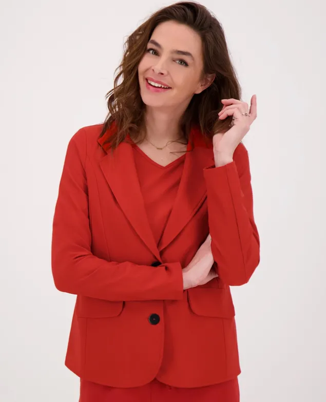 Blazer Regular Travel