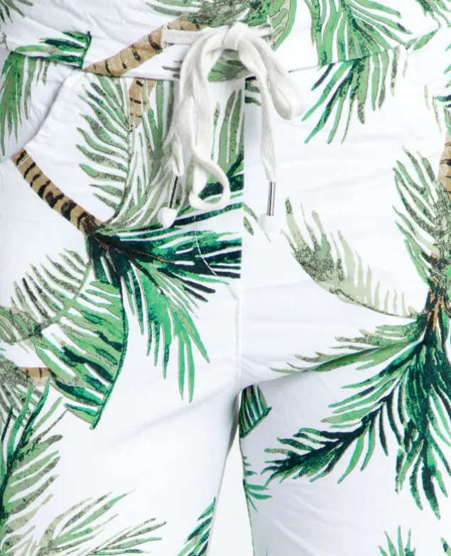 CrincPant Palm Tree