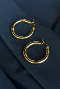 Earrings Hoops